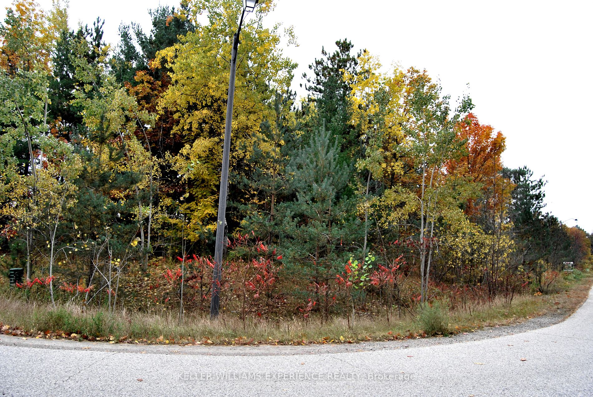 Listing S6794464 - Large Photo # 5