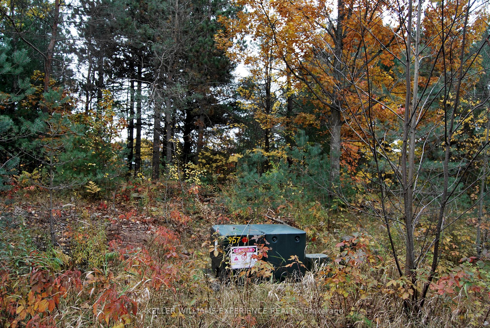 Listing S6794464 - Large Photo # 2