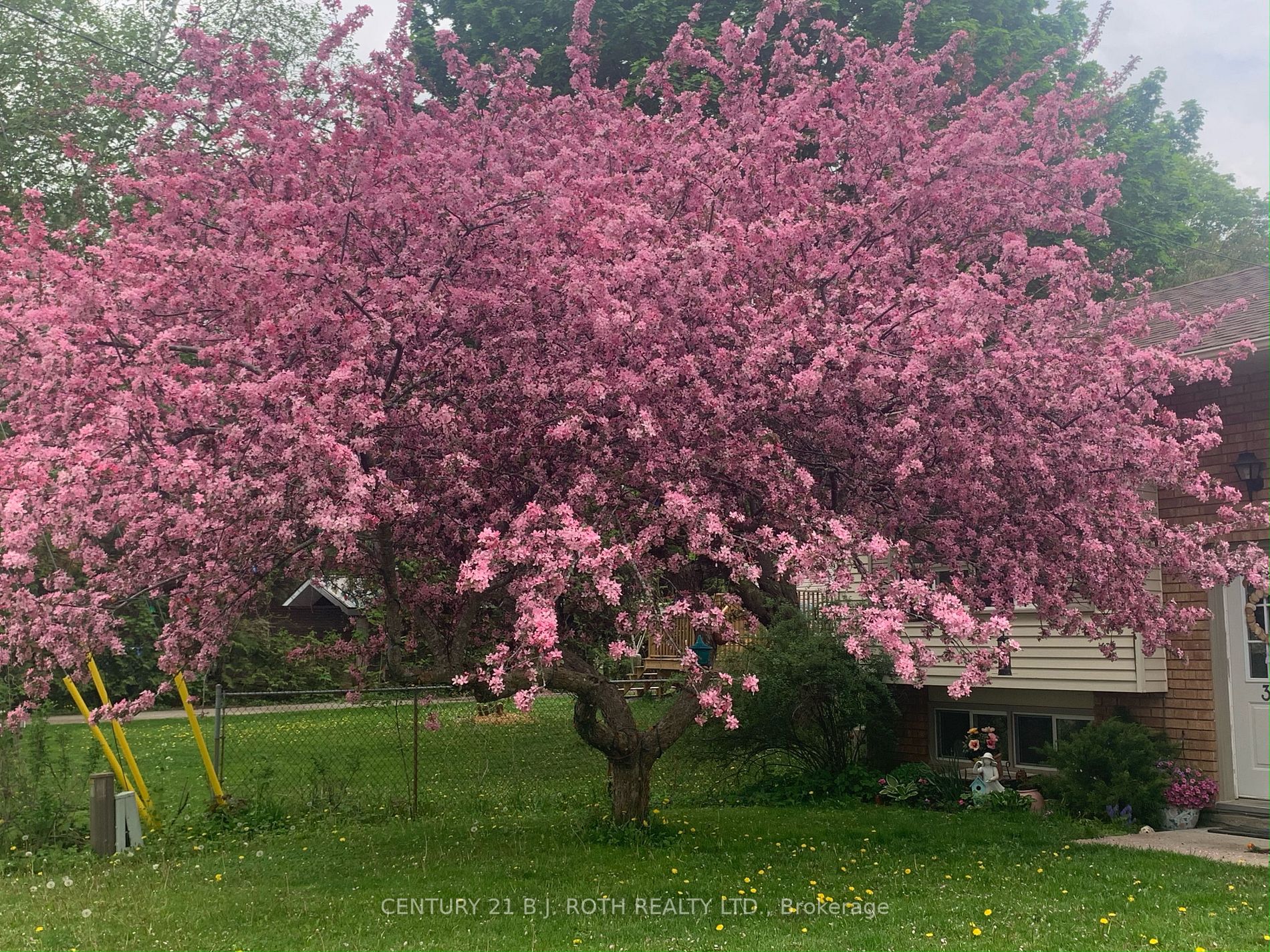 396 Barrie Rd