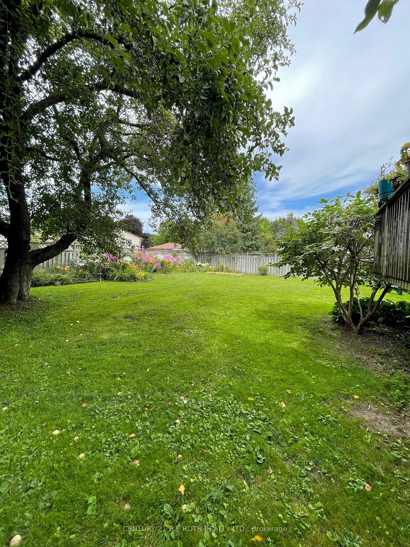396 Barrie Rd