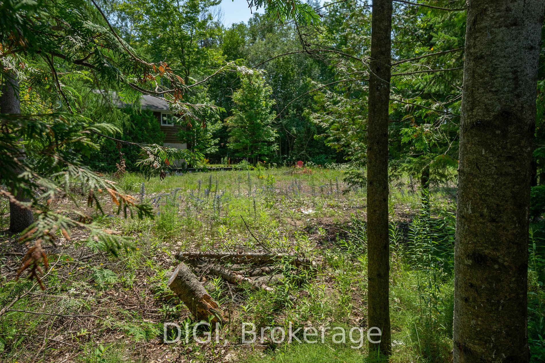 230 Zoo Park Road