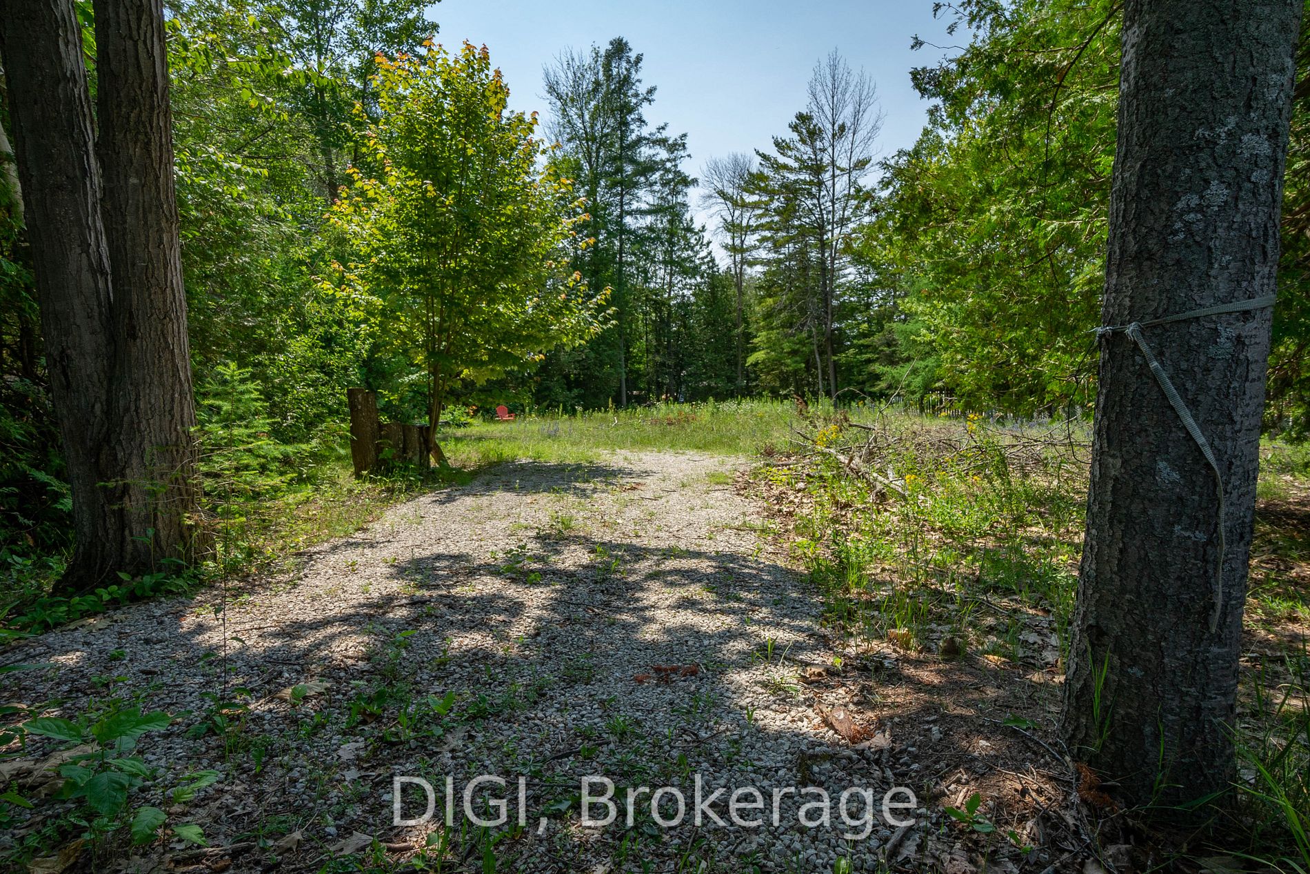 230 Zoo Park Road