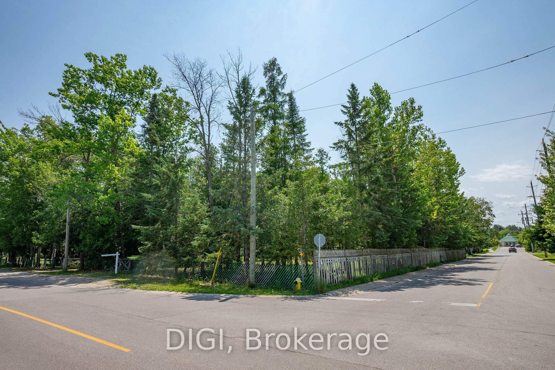 230 Zoo Park Road