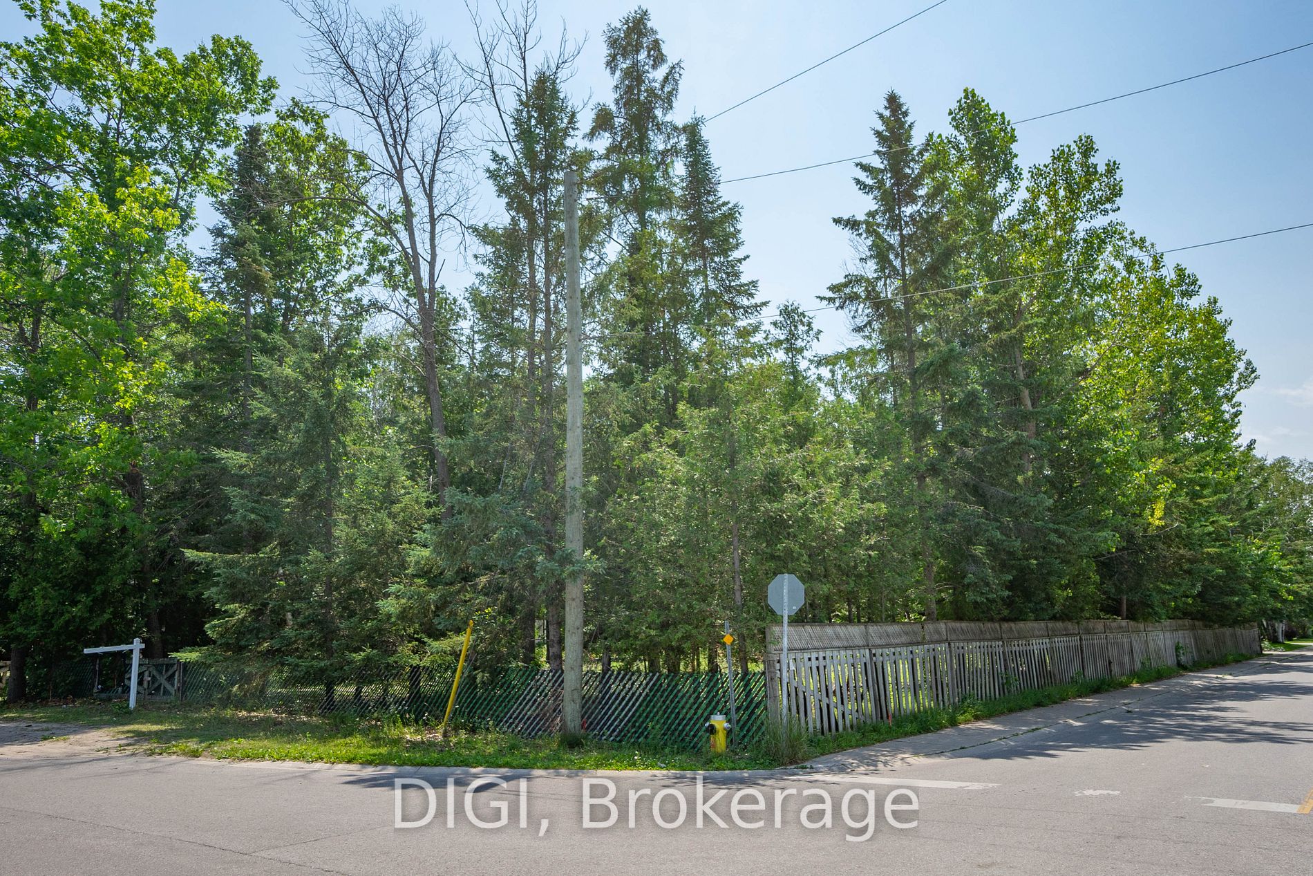 230 Zoo Park Road