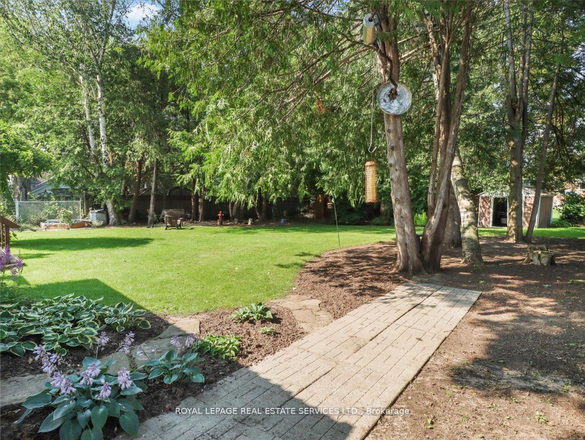 234 Oak St
