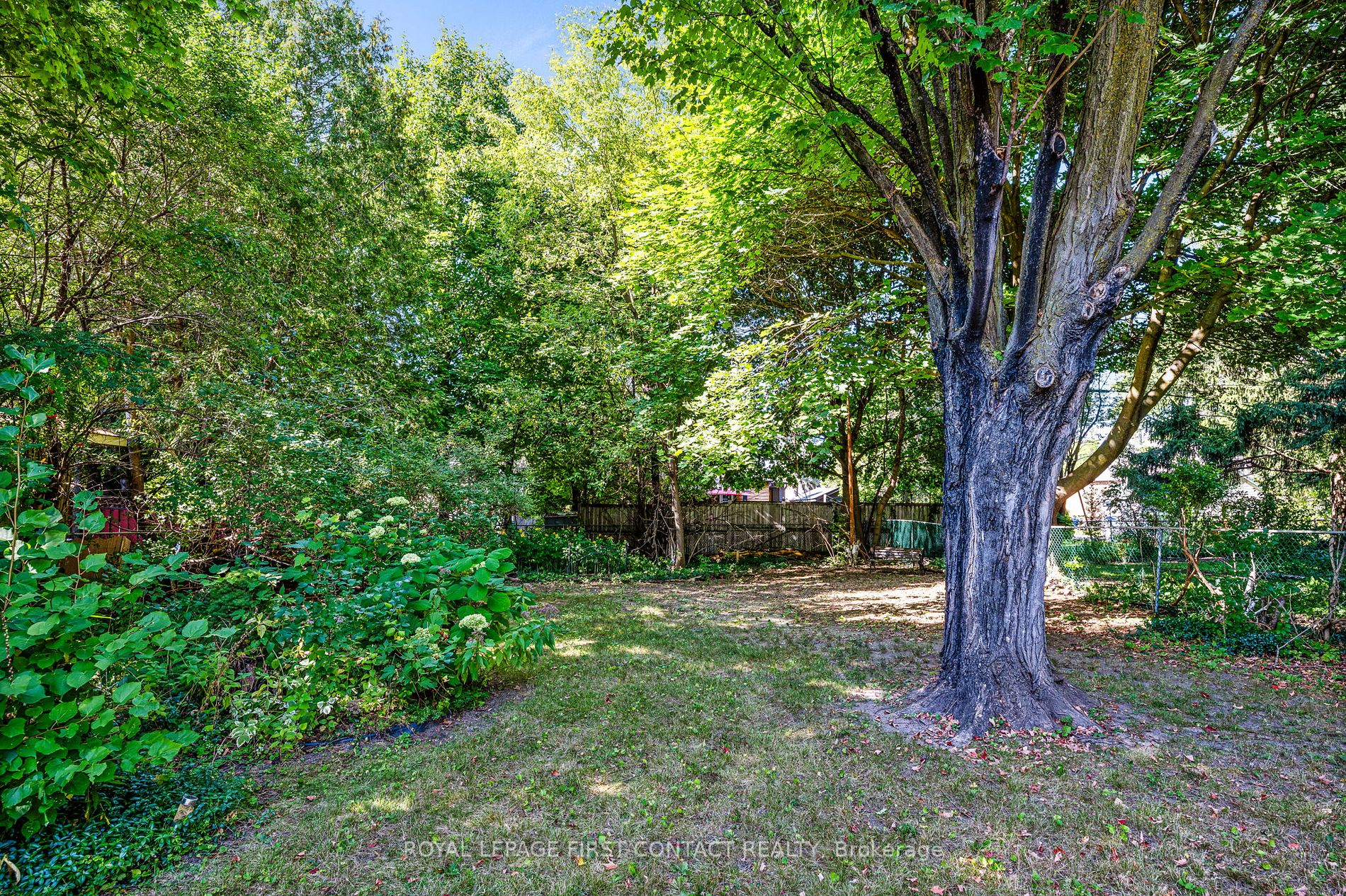 88 Eugenia St