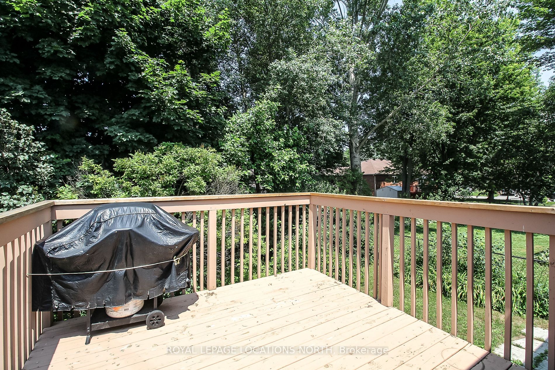 93 Silver Birch Ave
