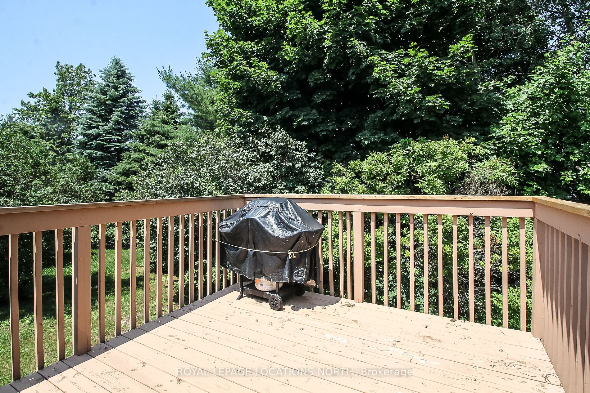 93 Silver Birch Ave