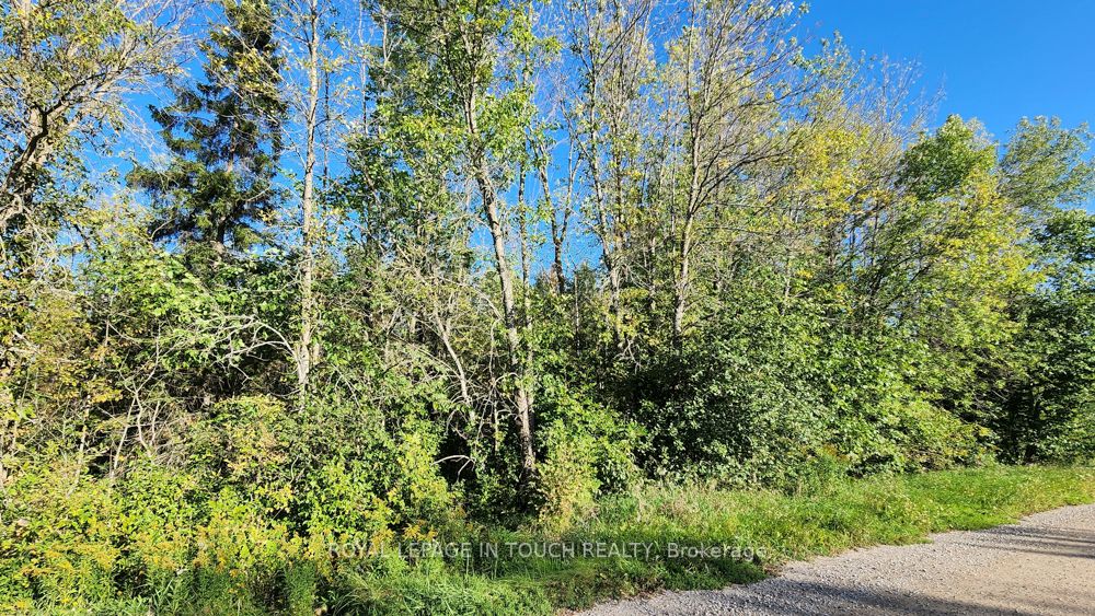 1561 Lovering Line