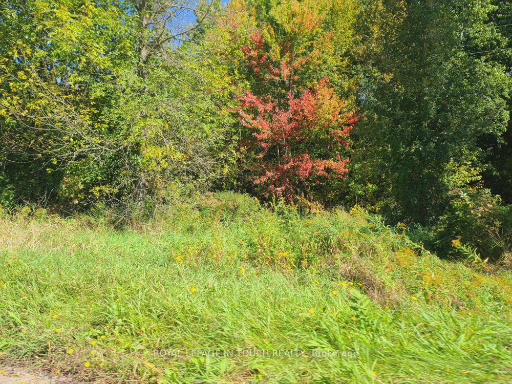 1561 Lovering Line