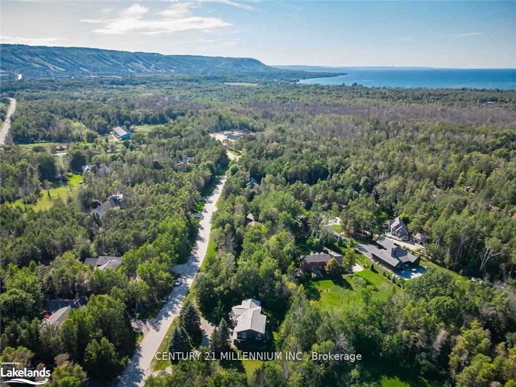 20 Forest Dr
