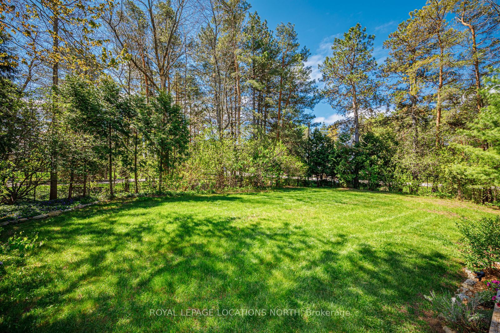 15 Forest Dr