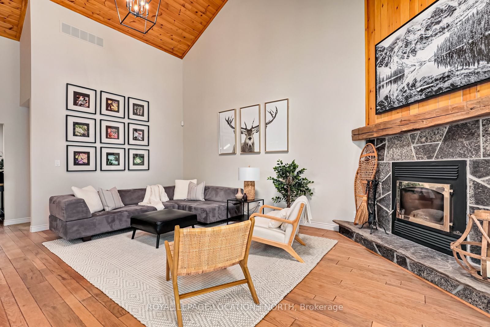 15 Forest Dr