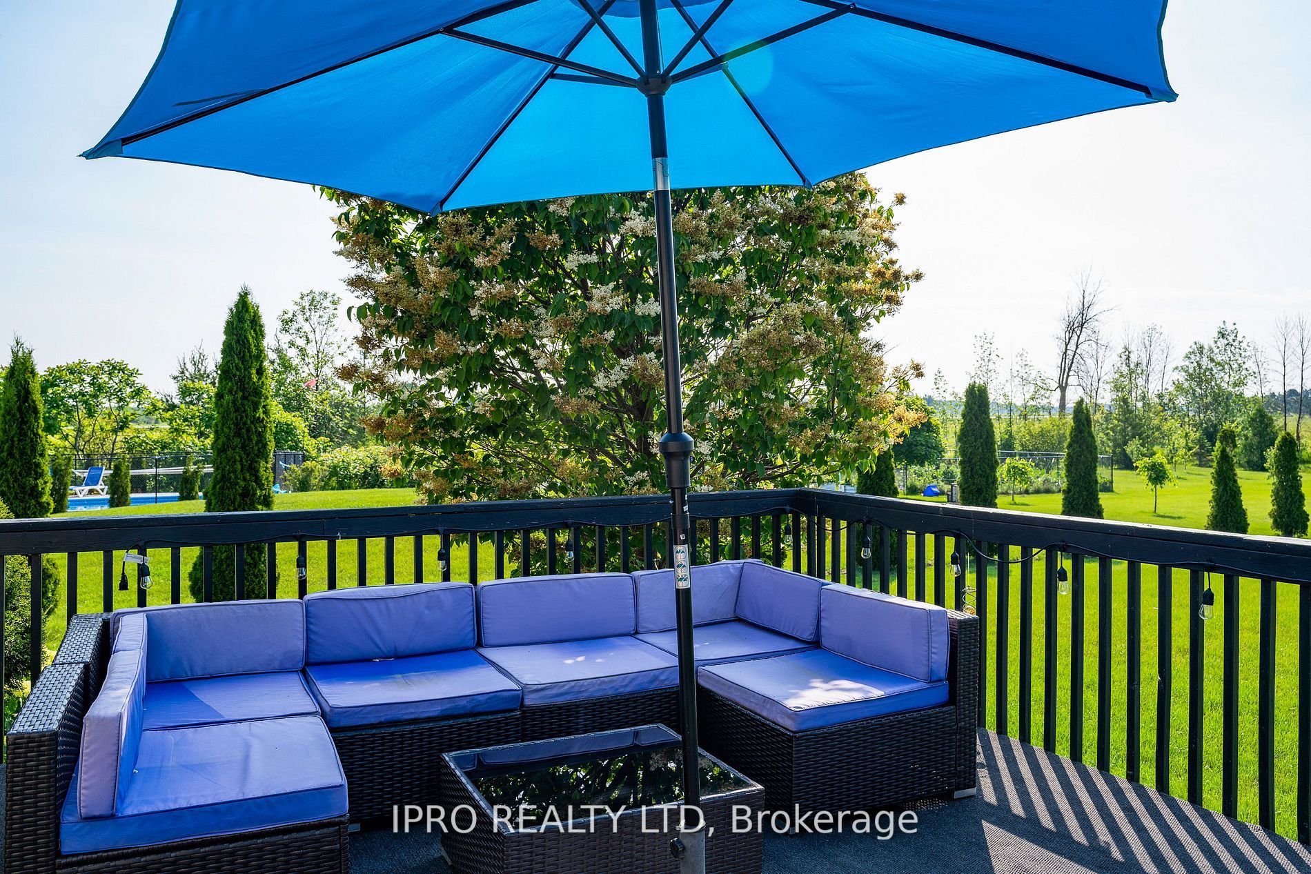 17 Maple Dr
