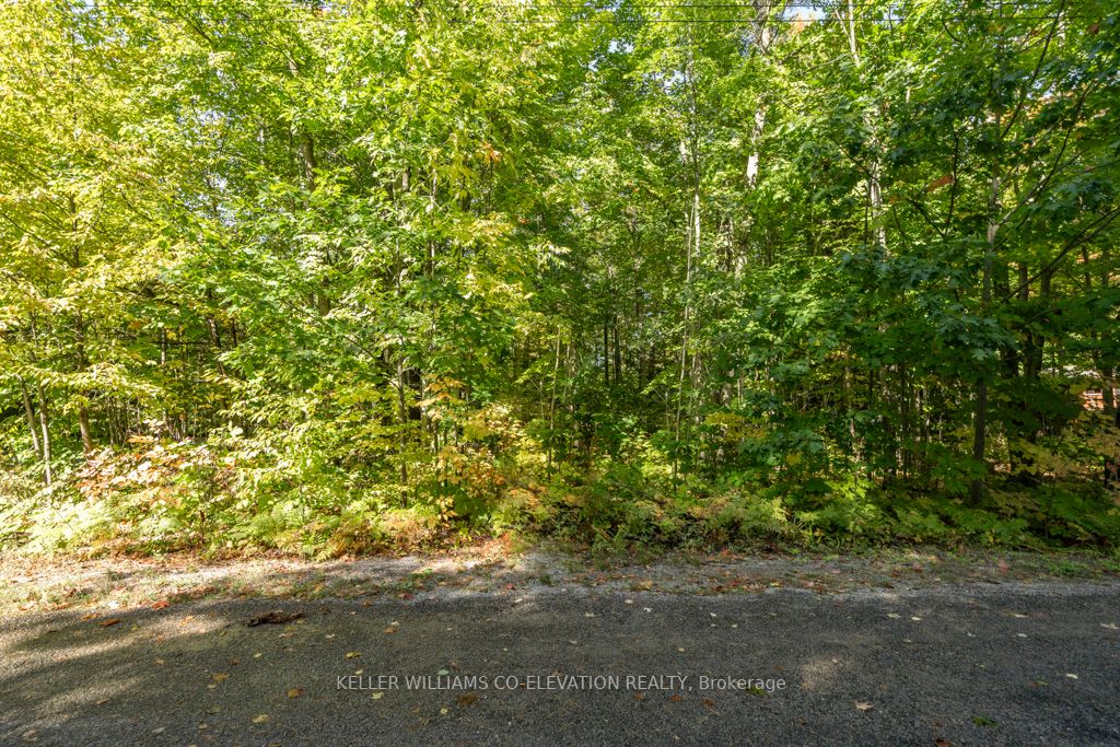 Lot 268 Celestine Crt