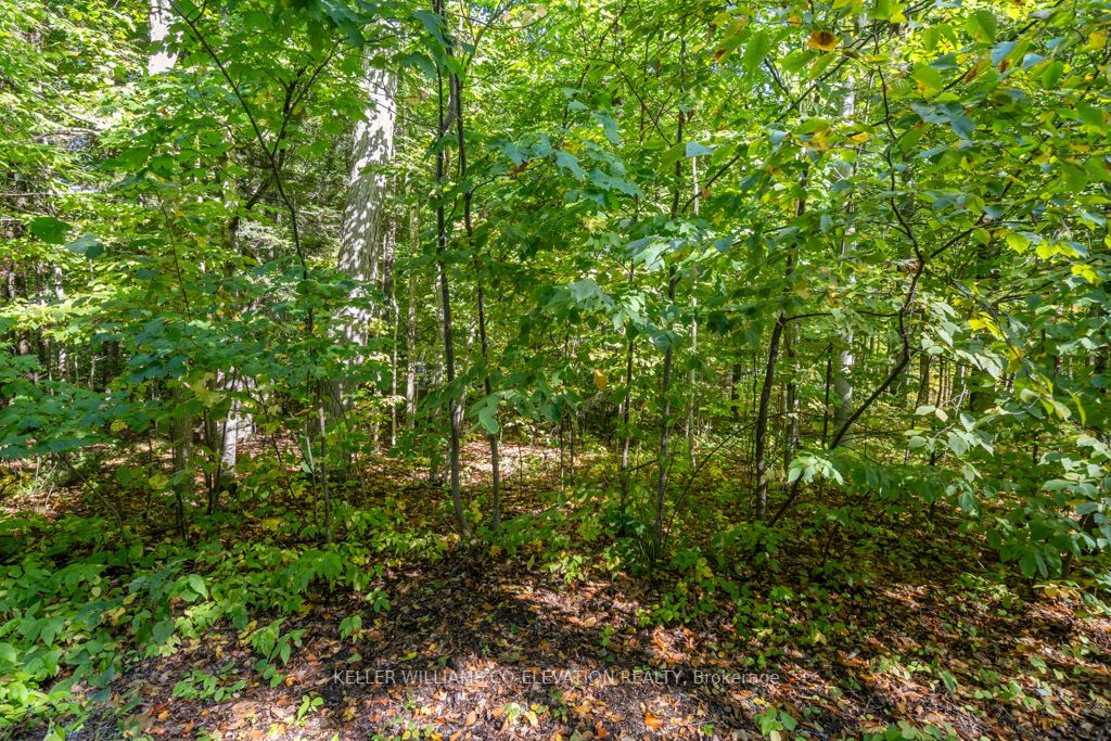 Lot 268 Celestine Crt