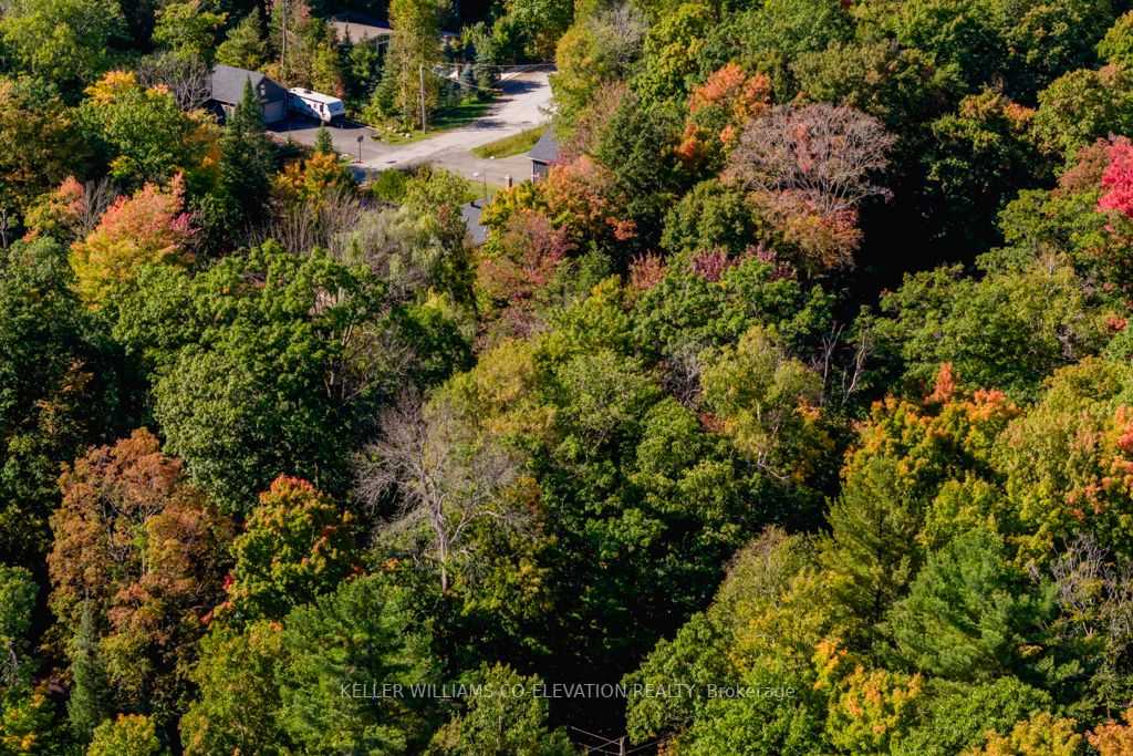 Lot 268 Celestine Crt