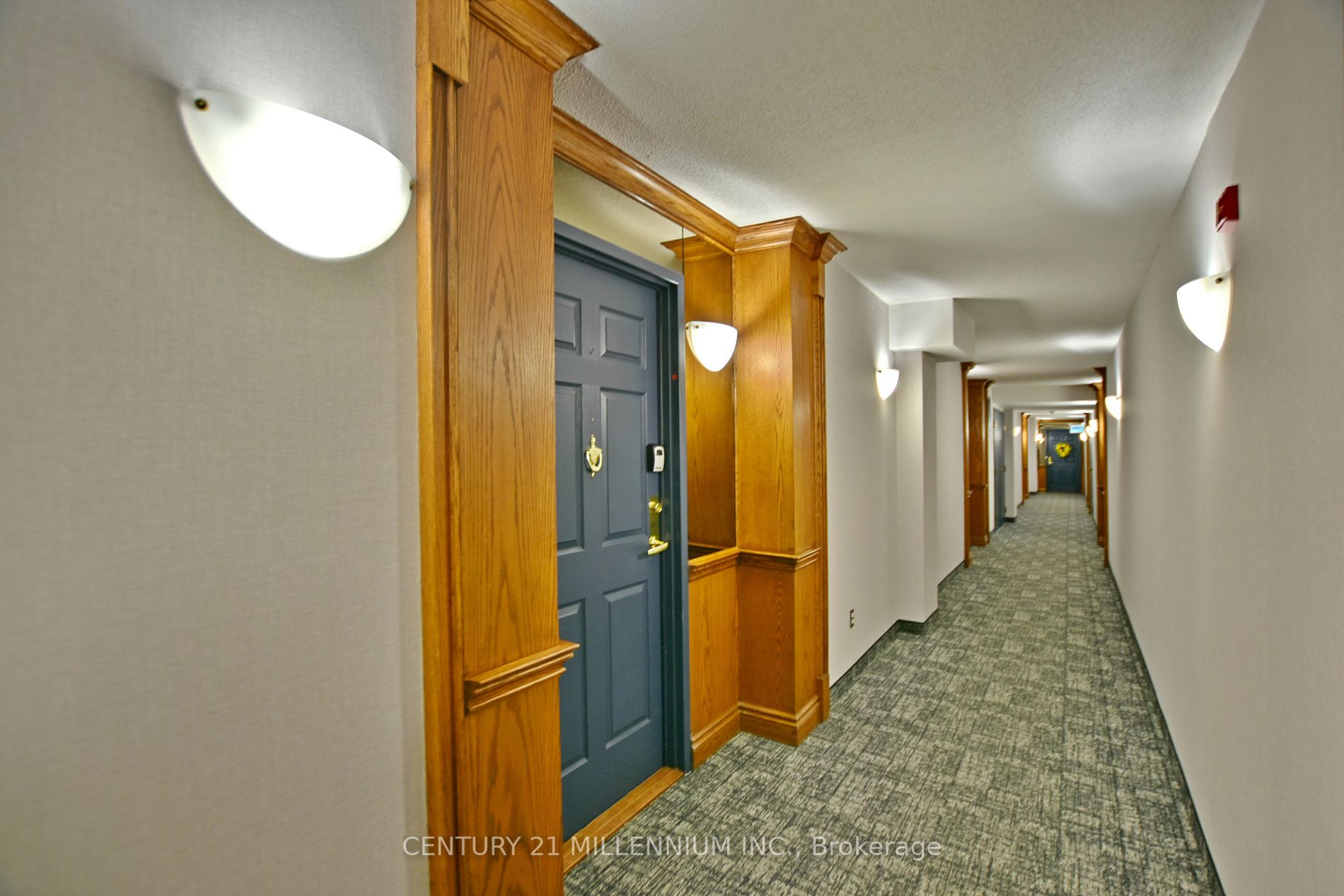 16 Raglan St, #307