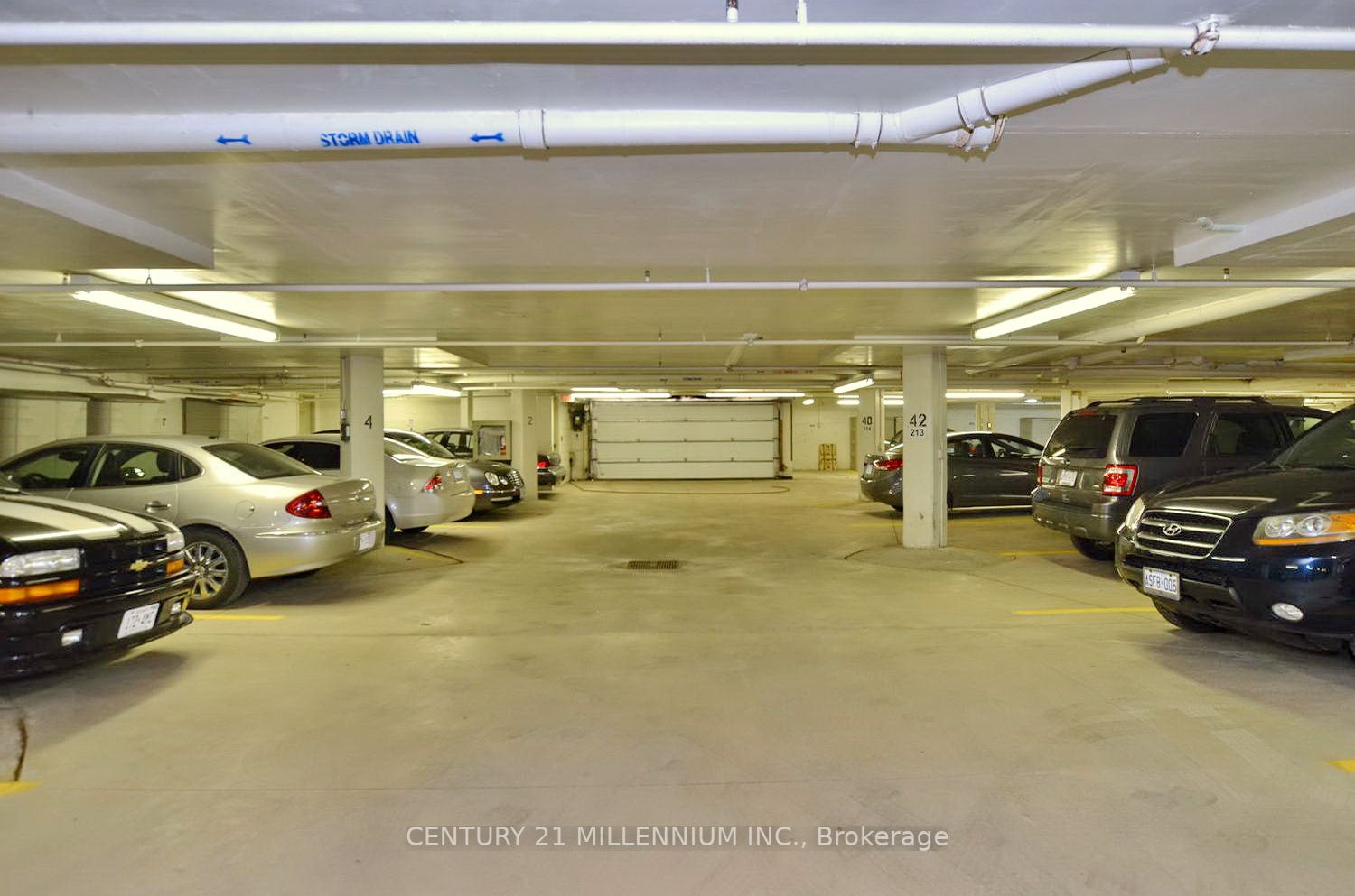 16 Raglan St, #307