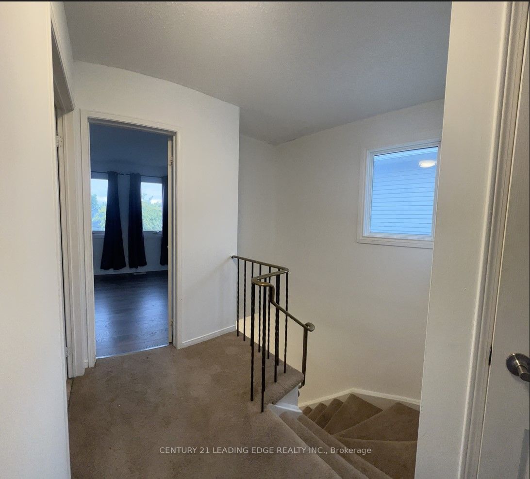 43 D'ambrosio Drive