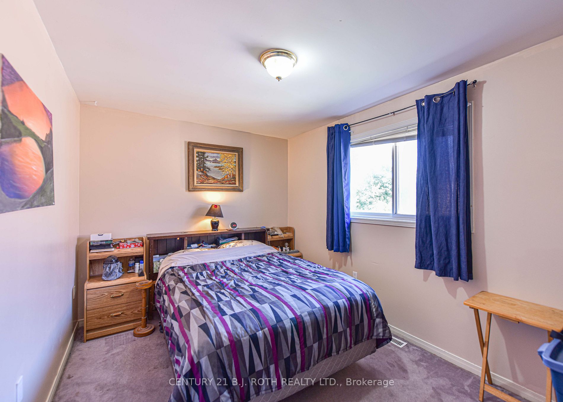 271 Collegiate Dr