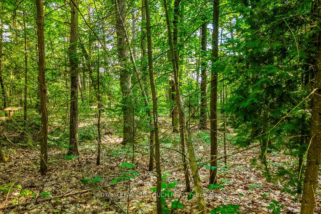 LOT 47 Trout Lane