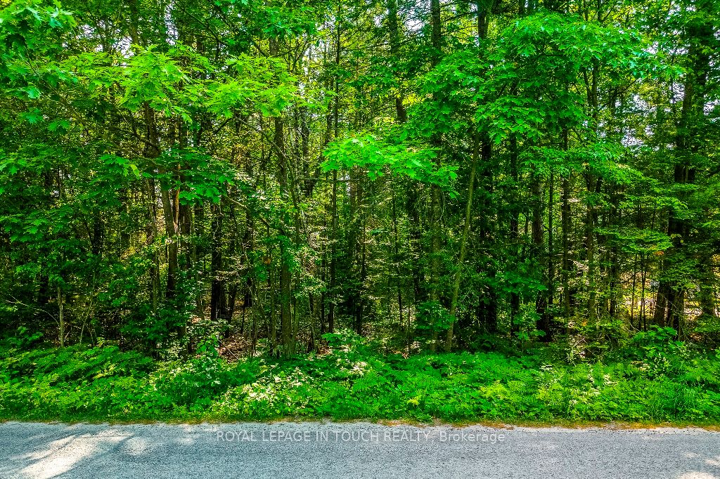 LOT 47 Trout Lane