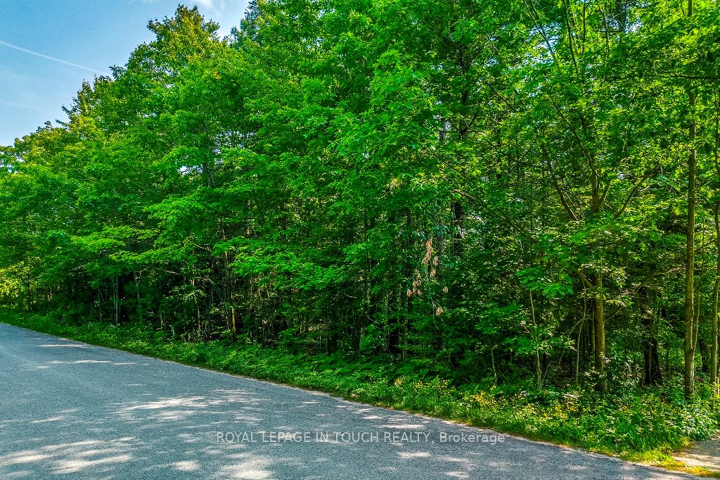 LOT 47 Trout Lane