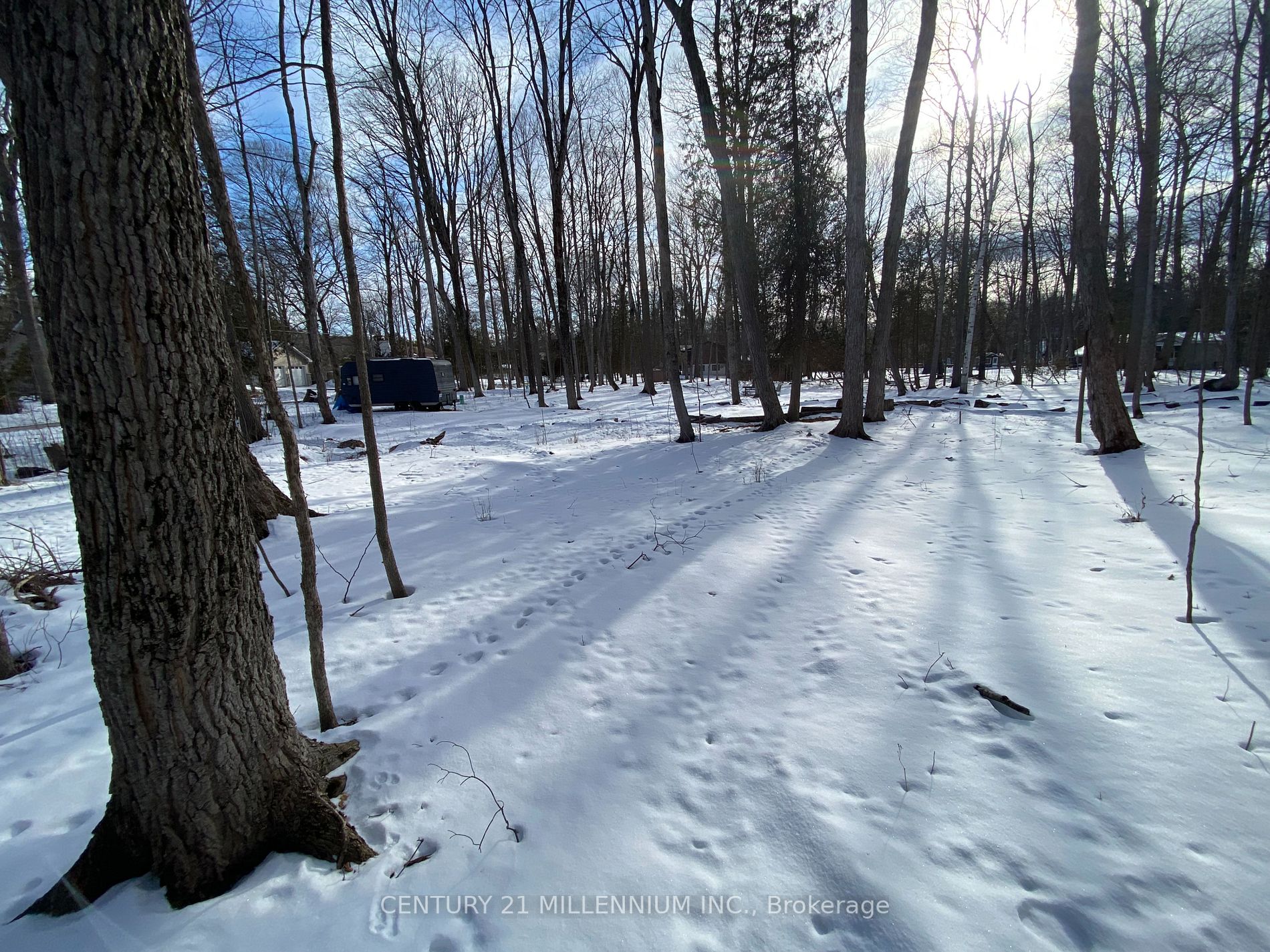 11 Knox Rd E