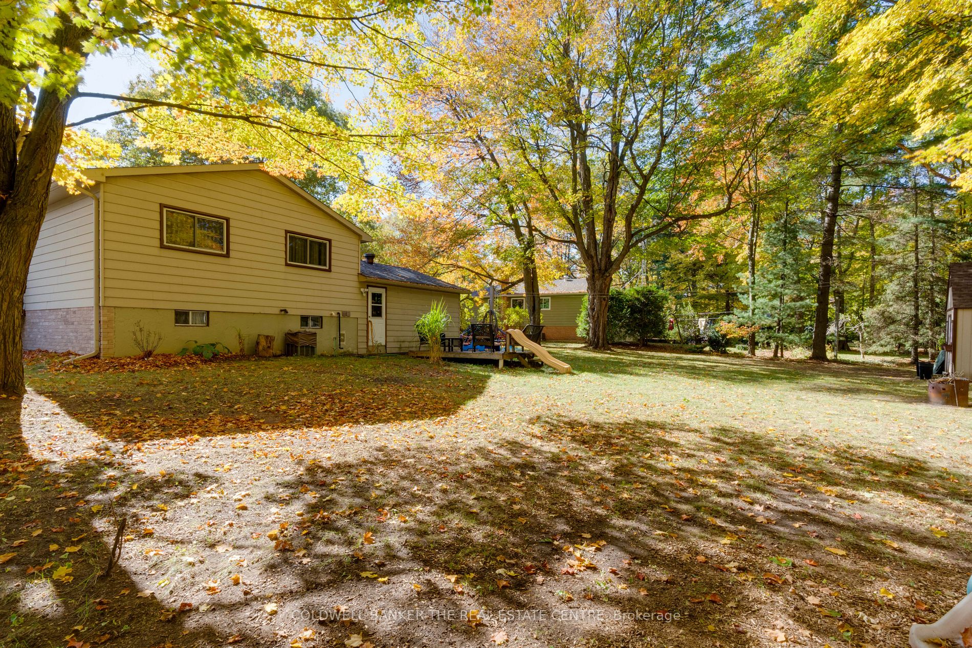 35 Dorcas Avenue