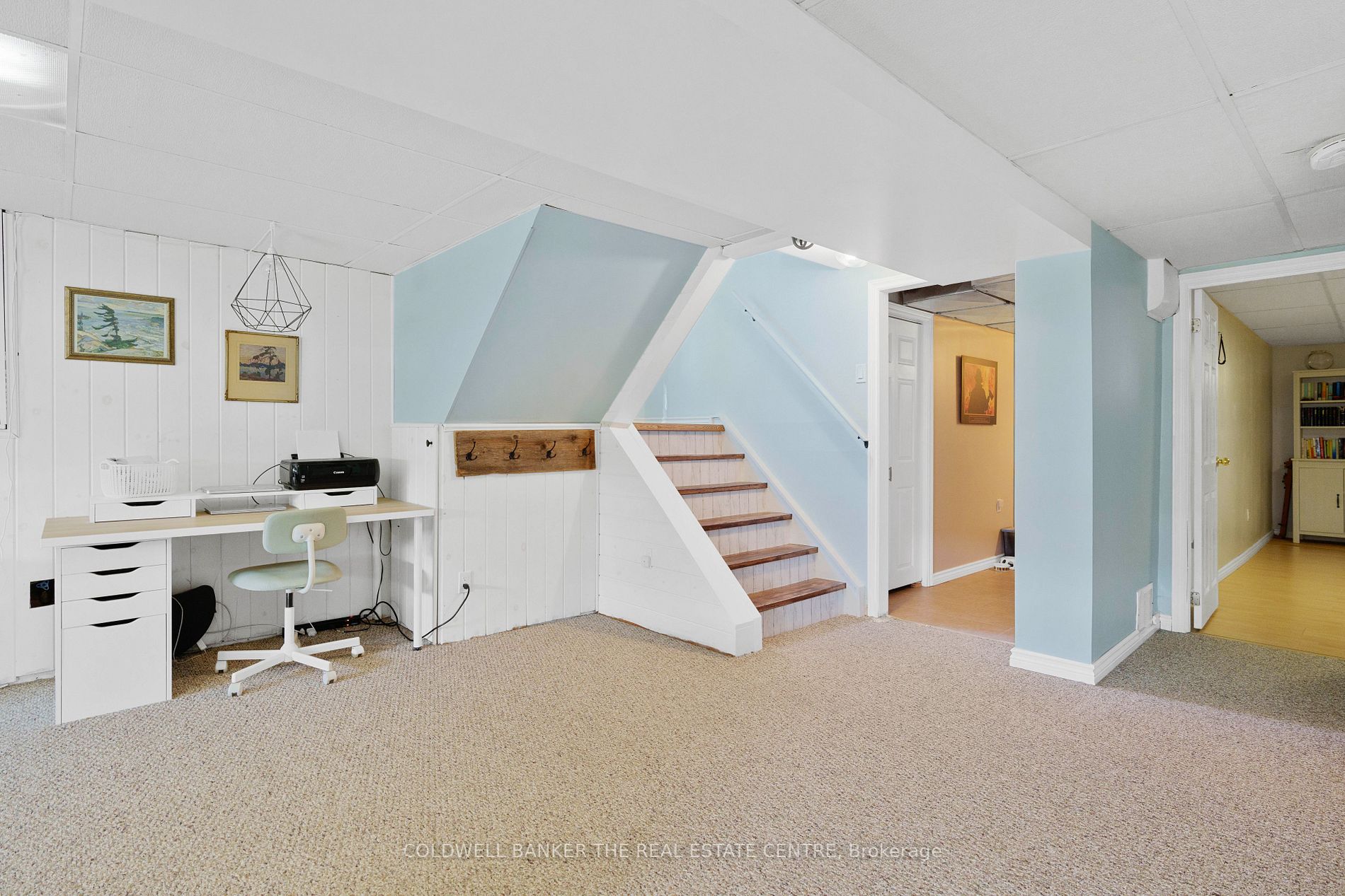 35 Dorcas Avenue