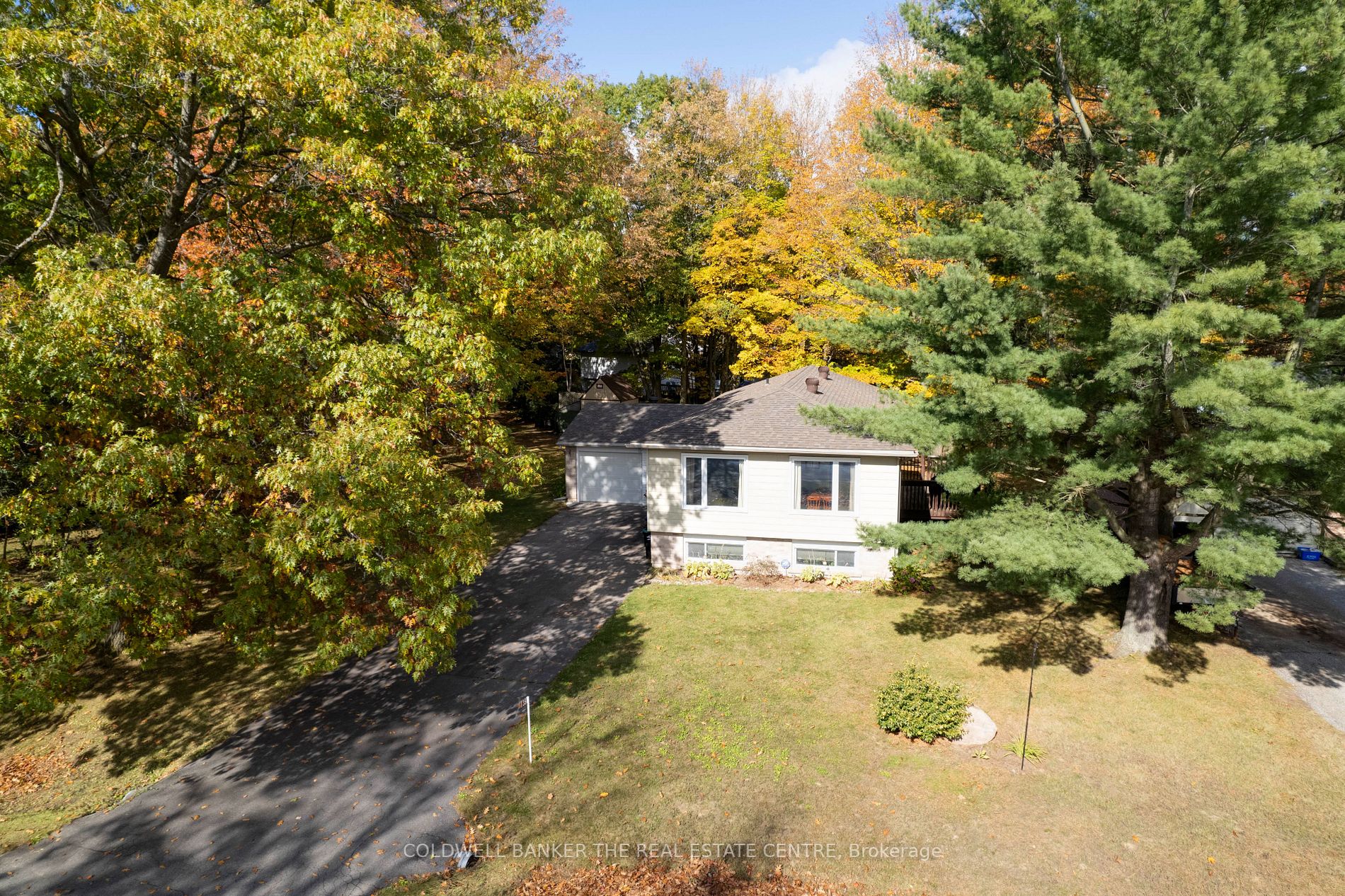 35 Dorcas Avenue
