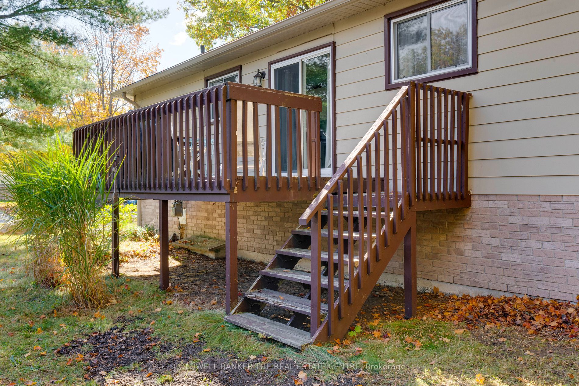 35 Dorcas Avenue