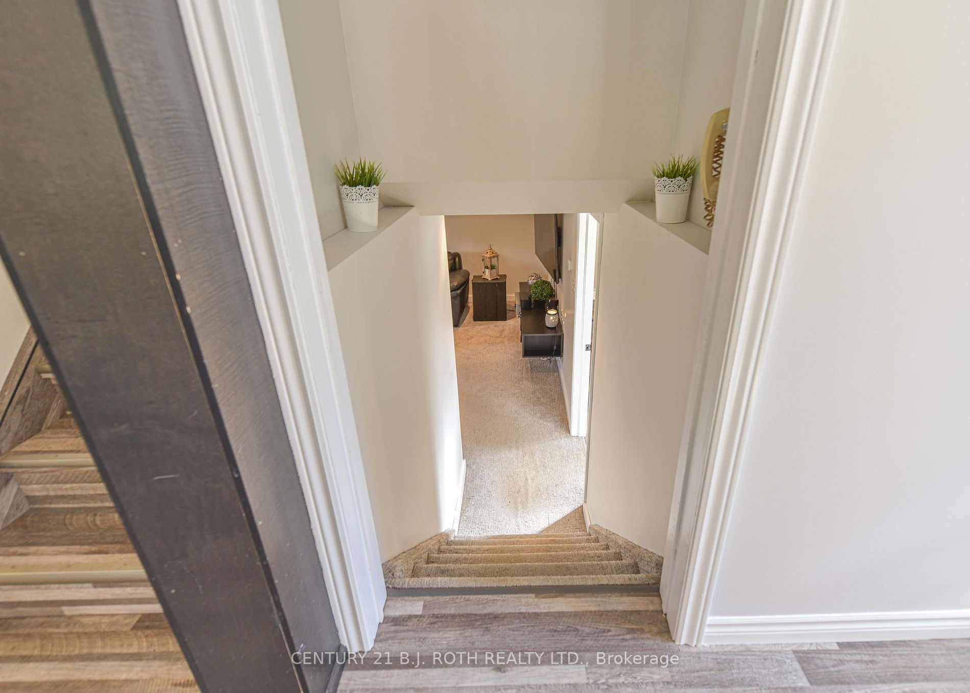 329 Collins Dr