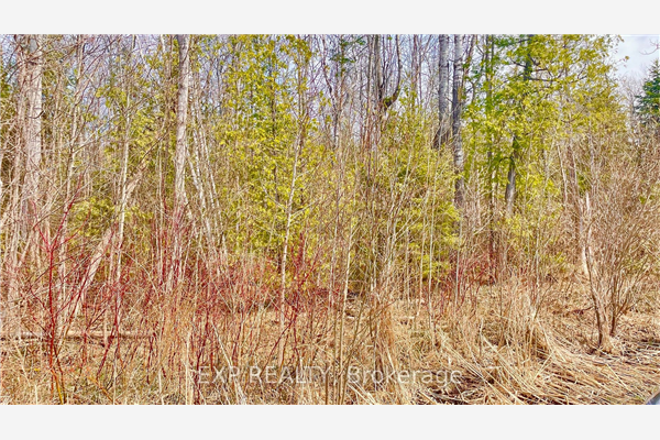 179 Forest Harbr Pkwy, Tay