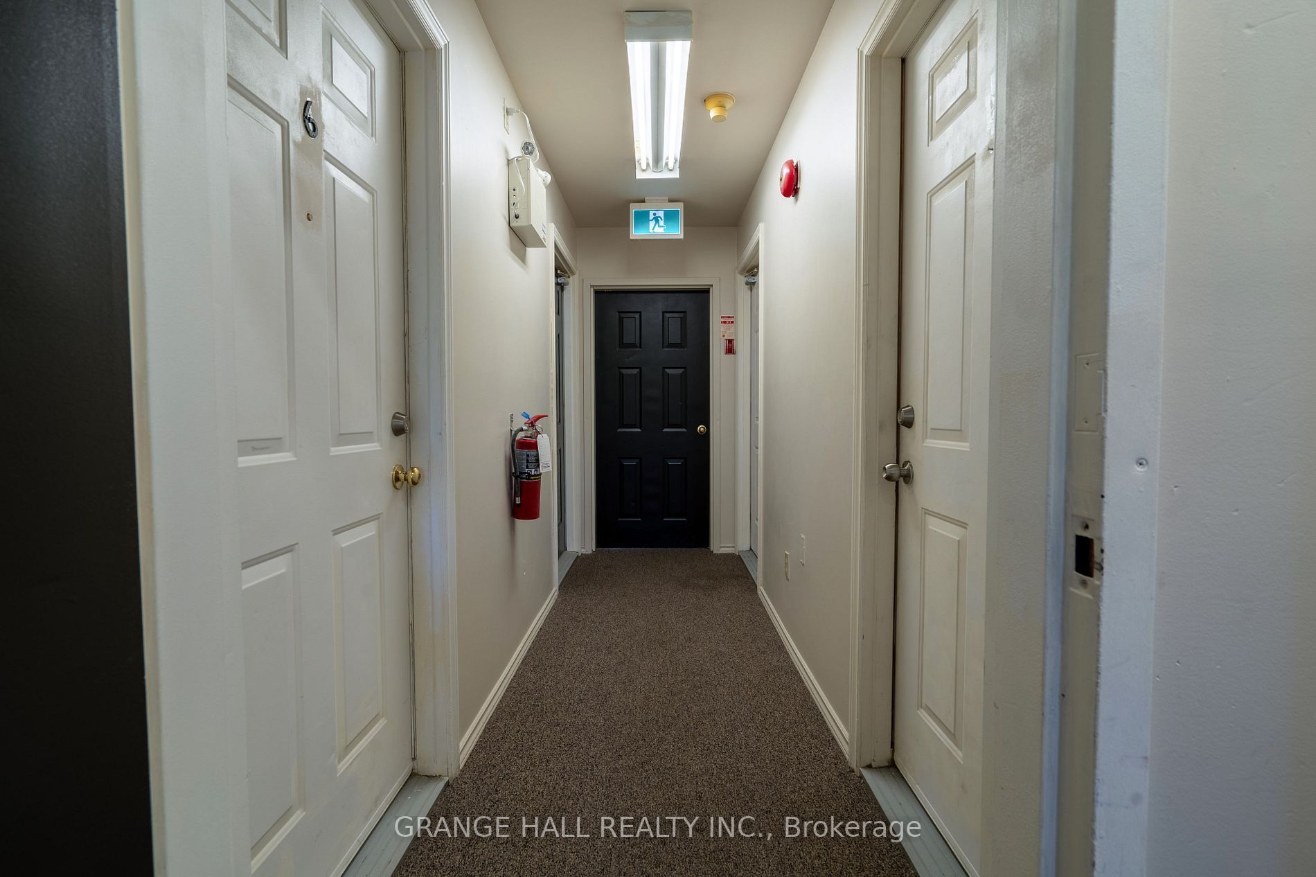 14 Elgin St