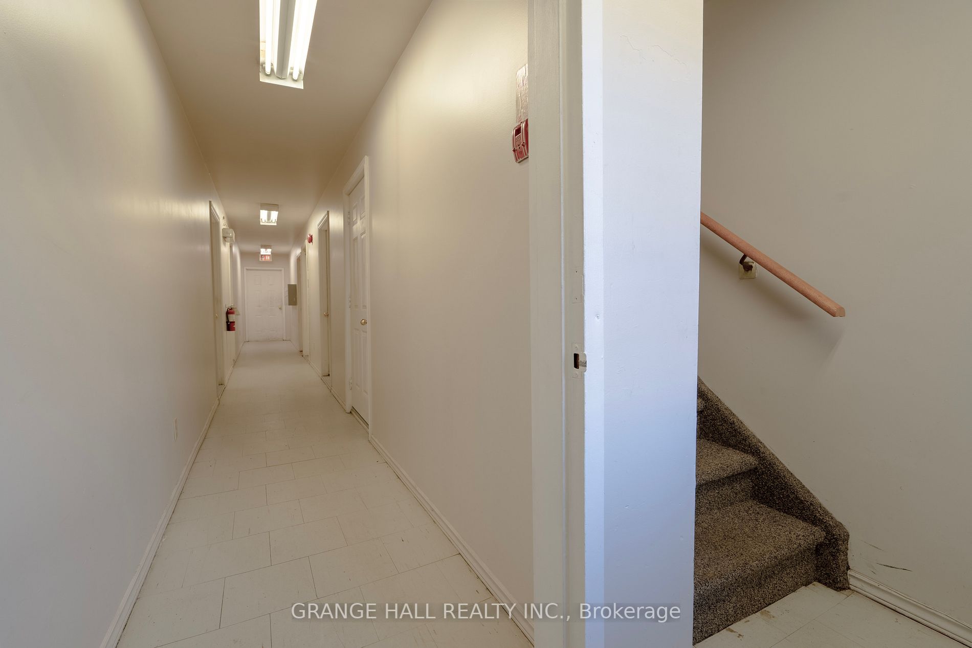 14 Elgin St
