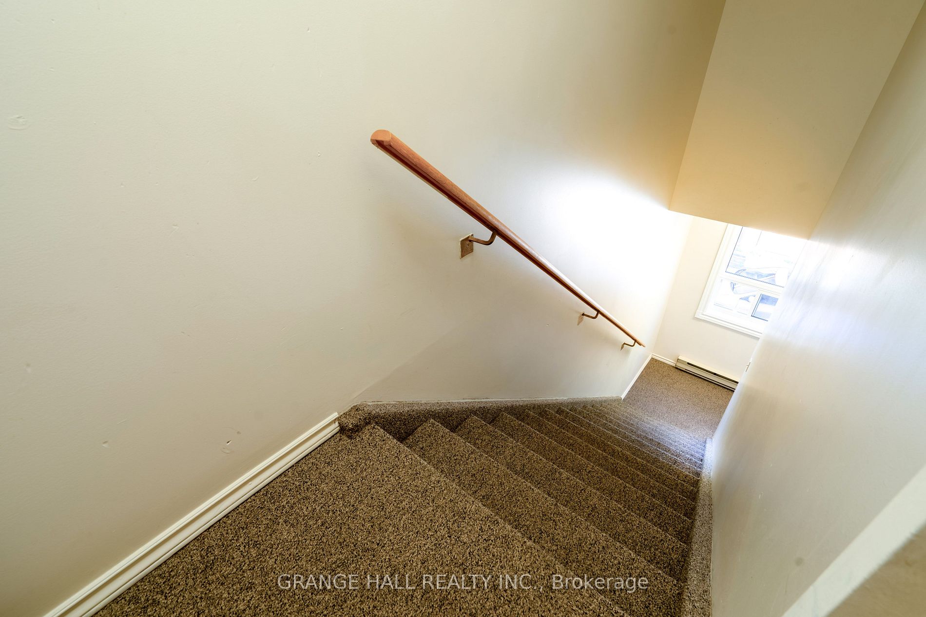 14 Elgin St