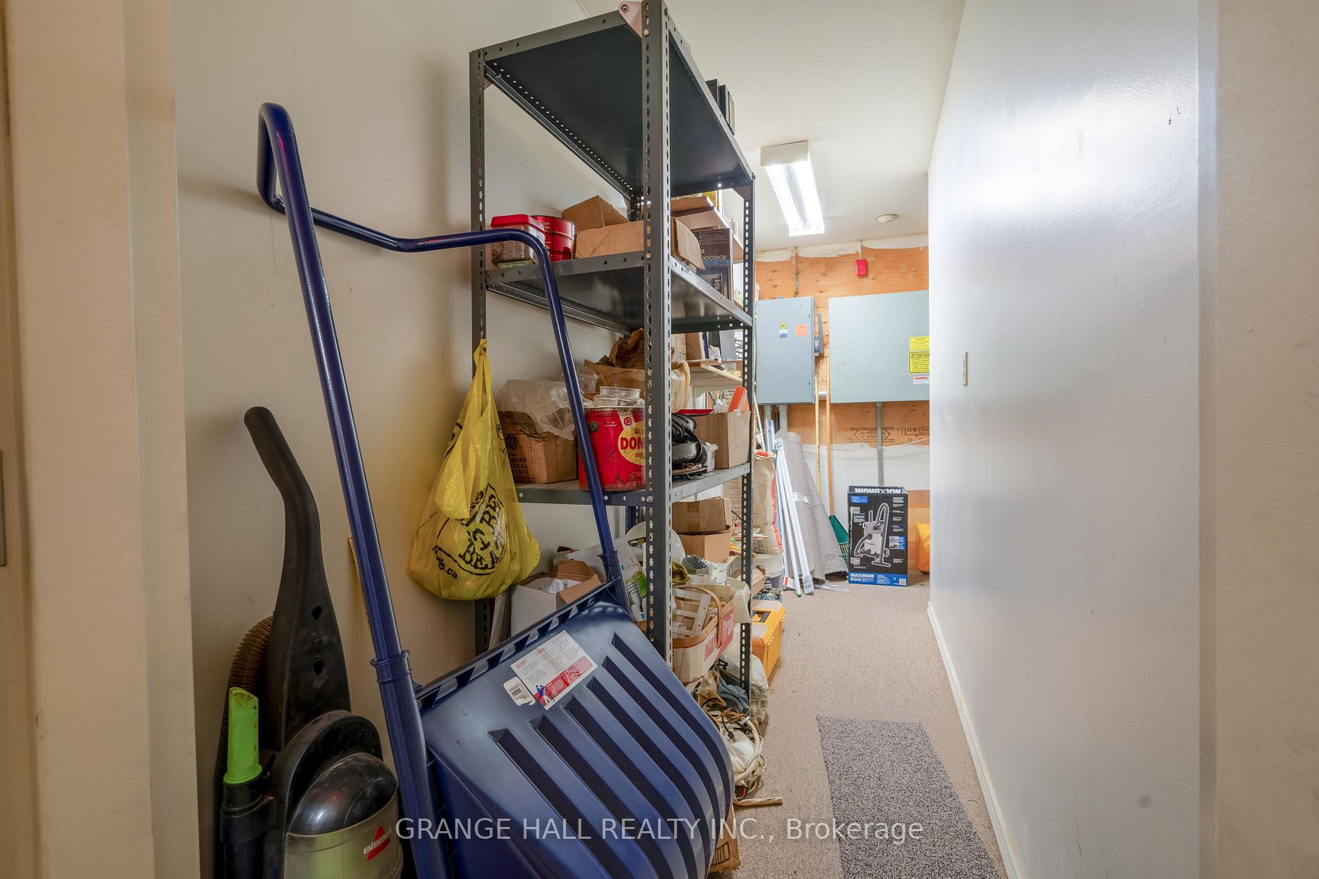 14 Elgin St
