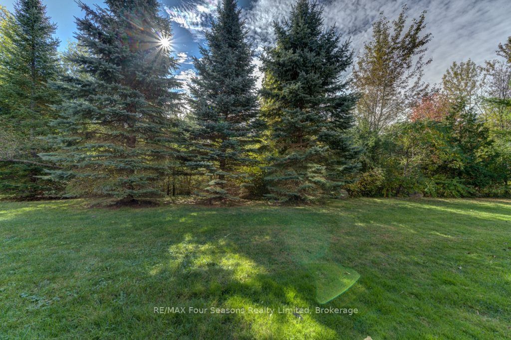 4 Royalton Lane, #4