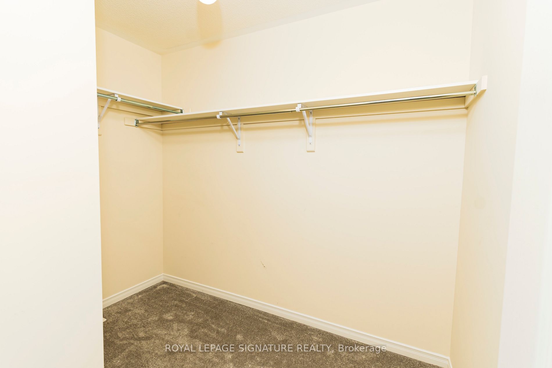 20 Bailey St