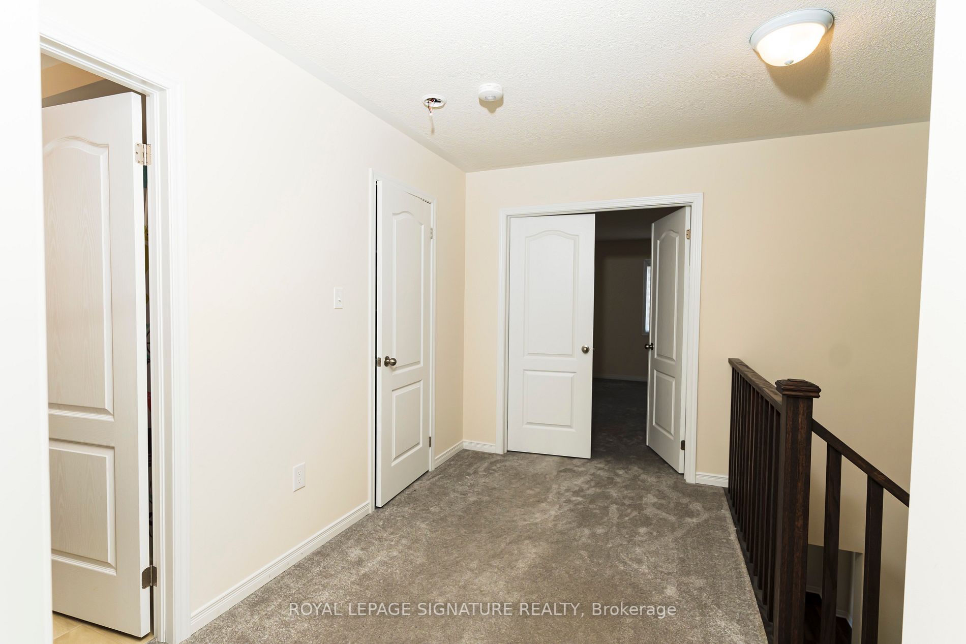 20 Bailey St