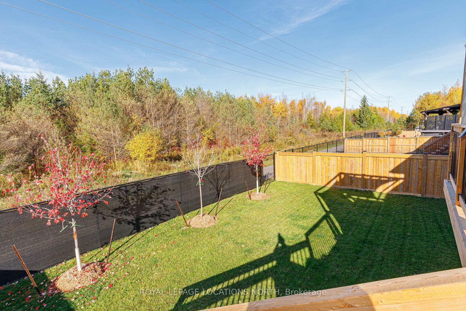 227 Roy Dr