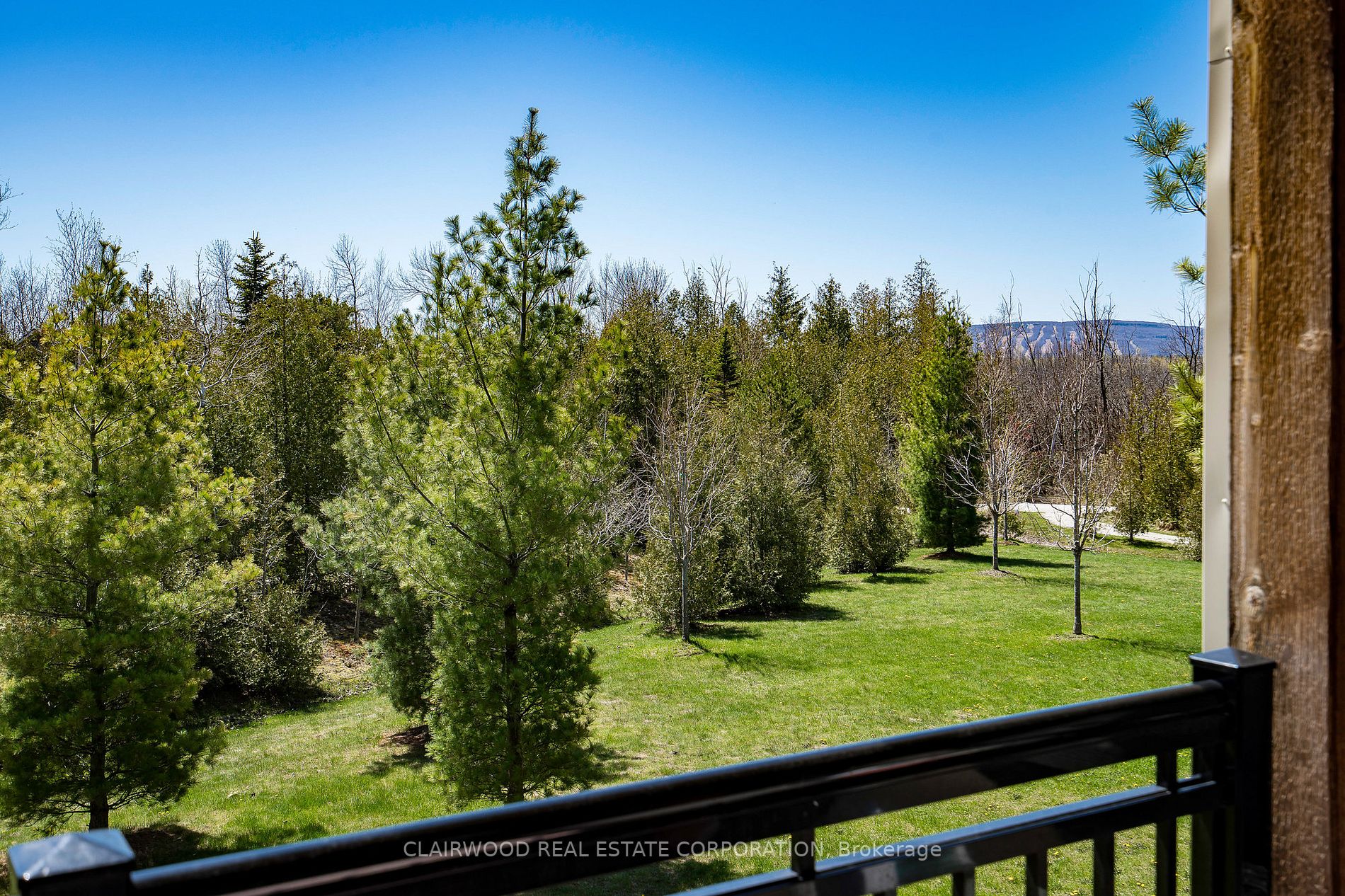 8 Brandy Lane Dr, #204