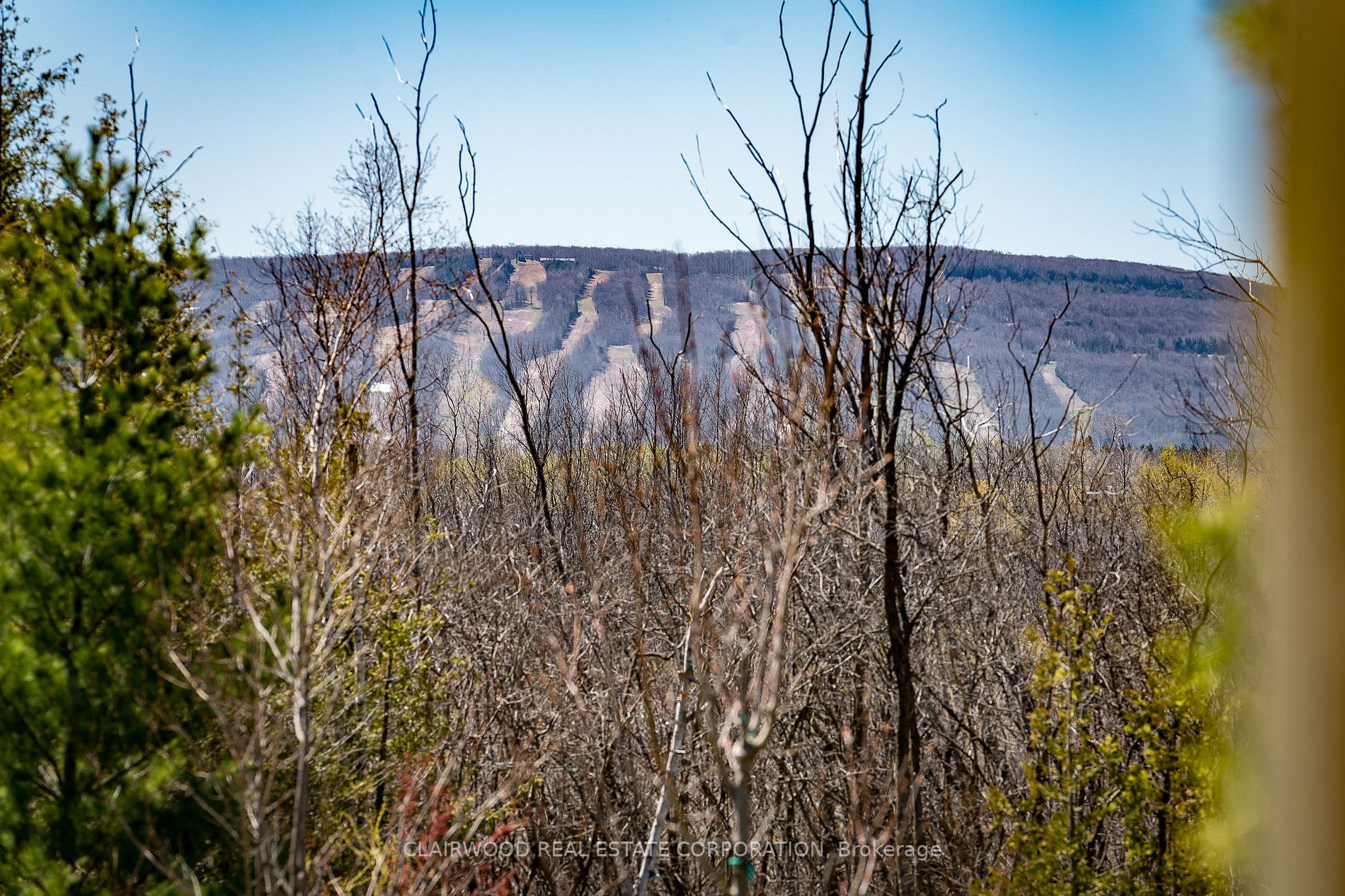 8 Brandy Lane Dr, #204