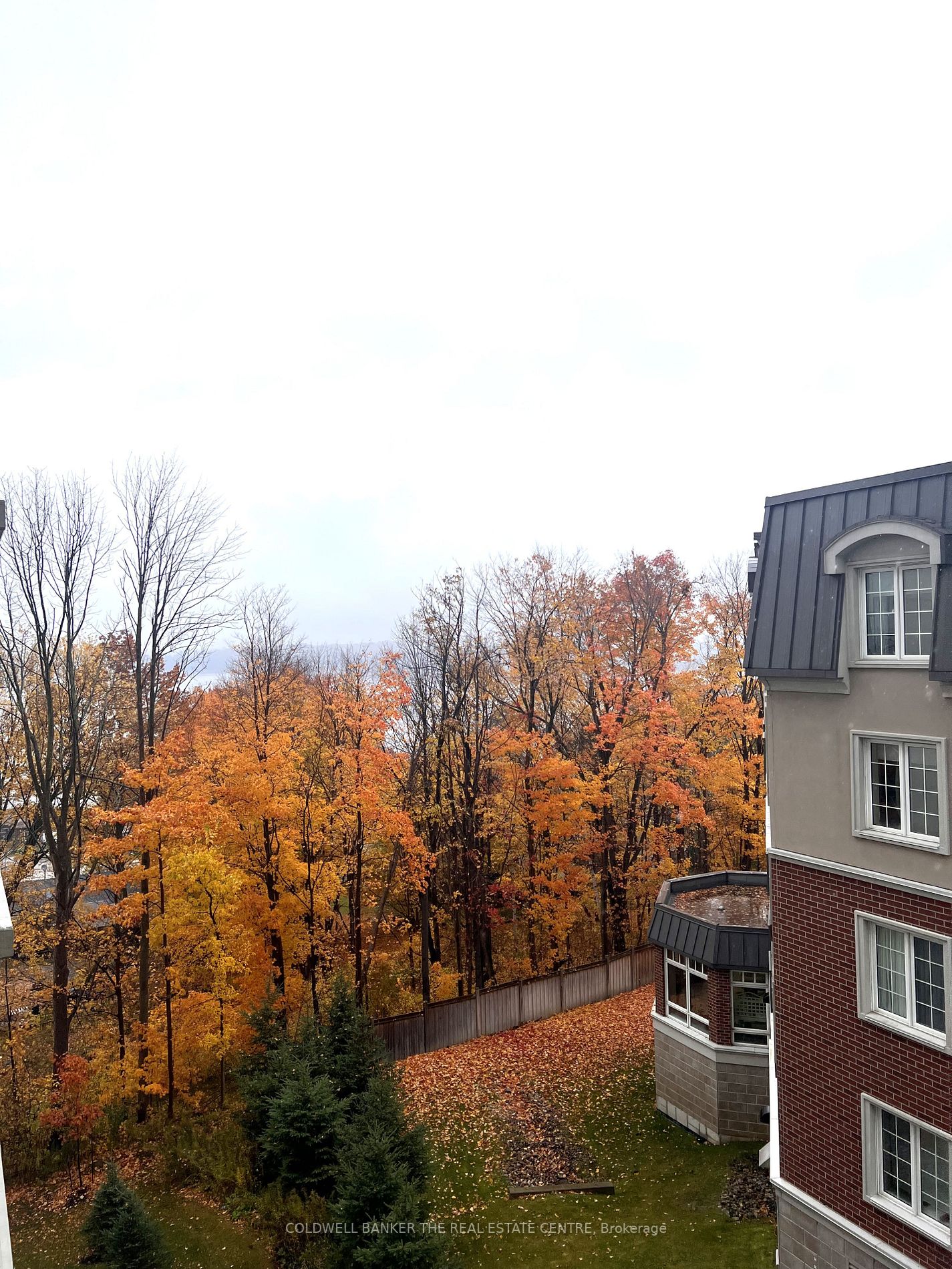 58 Lakeside Terr, #709