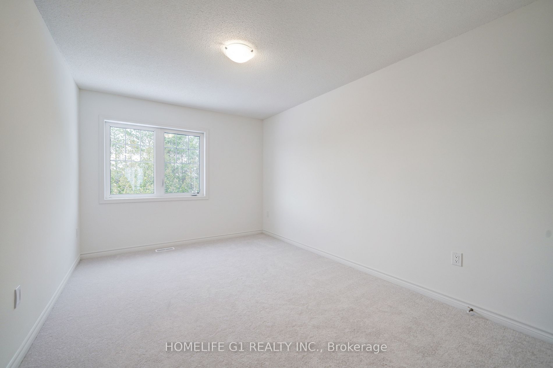 13 Abby Dr
