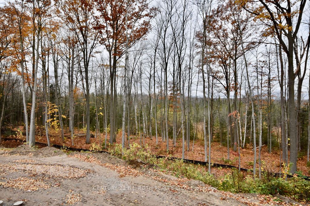25 Jean Miller Crt
