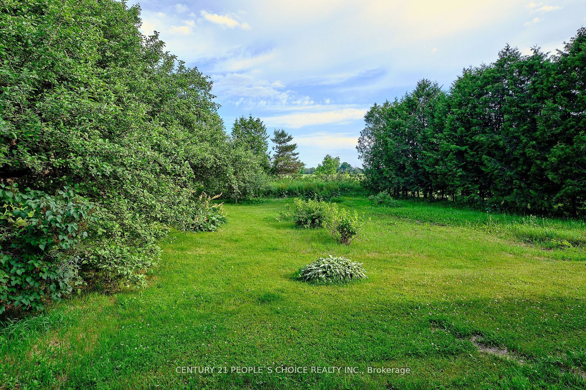 9 Balm Beach Rd W