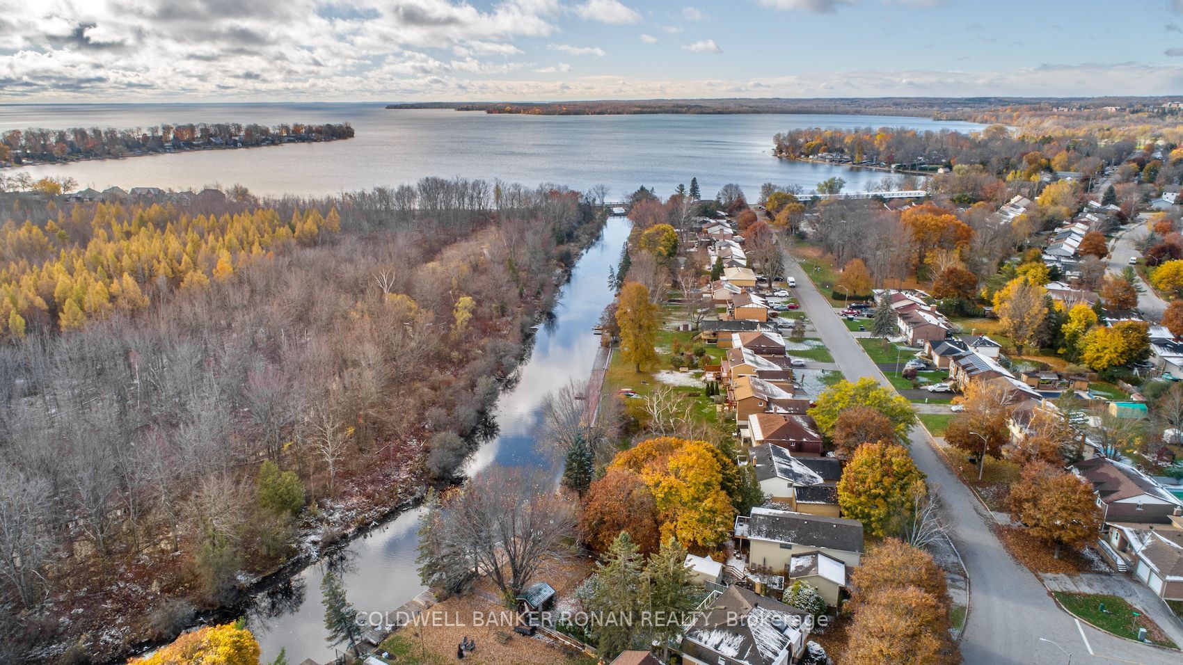 43 Lankin Blvd